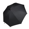 Fan Umbrella